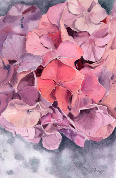 Peinture intitulée "Pink hydrangea" par Elena Poigina, Œuvre d'art originale, Aquarelle