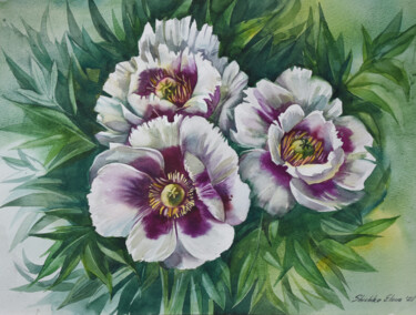 Painting titled "WHITE PEONY" by Elena Shichko, Original Artwork, Watercolor