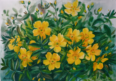 Painting titled "Hypericum" by Elena Shichko, Original Artwork, Watercolor