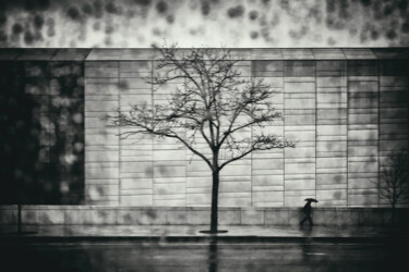 摄影 标题为“Beyond the window” 由Elena Raceala, 原创艺术品, 数码摄影