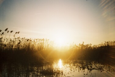 Fotografie getiteld "daylight" door Elis Köseler, Origineel Kunstwerk, Film fotografie