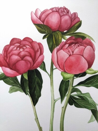 Painting titled "Pink peonies" by Elisa Aleksenko, Original Artwork, Watercolor