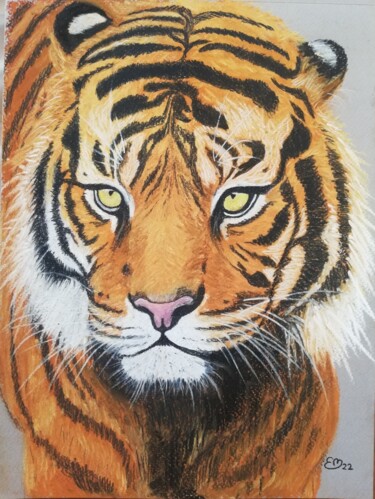 Dibujo titulada "Tigre du Bengale" por Élisa Brun, Obra de arte original, Pastel