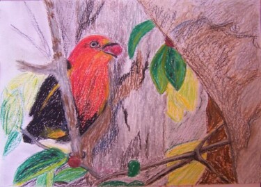 Dessin intitulée "Oiseau" par Élisa Brun, Œuvre d'art originale, Pastel