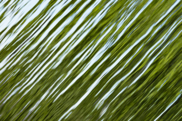 Fotografia zatytułowany „abstract green wate…” autorstwa Elisabeth Laplante, Oryginalna praca, Fotografia cyfrowa