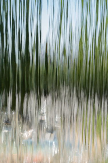 Fotografia zatytułowany „wet transparency.jpg” autorstwa Elisabeth Laplante, Oryginalna praca, Fotografia cyfrowa