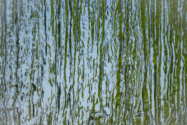 Fotografía titulada "vert ou bleu?.jpg" por Elisabeth Laplante, Obra de arte original, Fotografía digital Montado en Aluminio