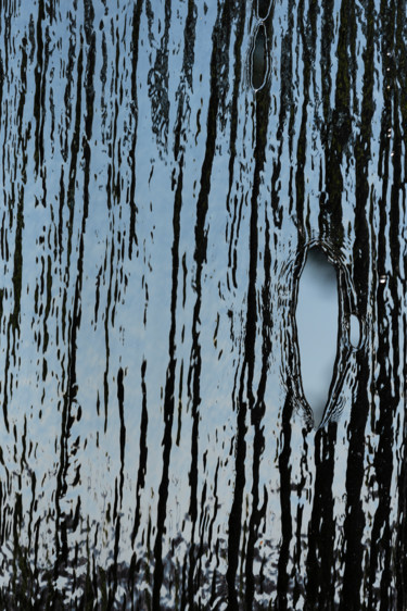 Photographie intitulée "Naissance" par Elisabeth Laplante, Œuvre d'art originale, Photographie numérique Monté sur Aluminium