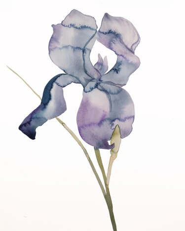 Картина под названием "Iris No. 171" - Elizabeth Becker, Подлинное произведение искусства, Акварель