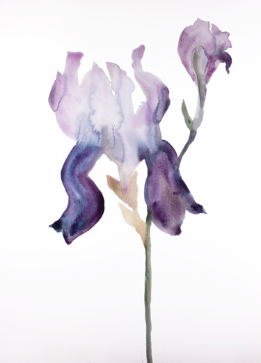 Картина под названием "Iris No. 175" - Elizabeth Becker, Подлинное произведение искусства, Акварель