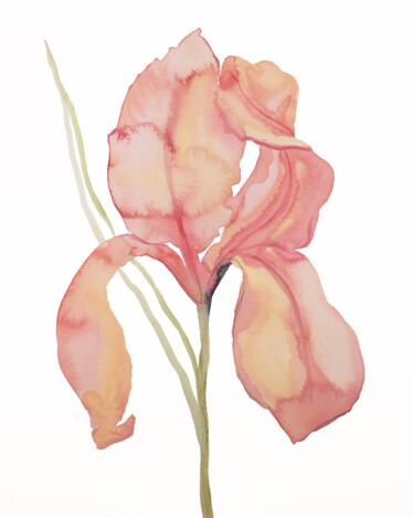 Картина под названием "Iris No. 173" - Elizabeth Becker, Подлинное произведение искусства, Акварель
