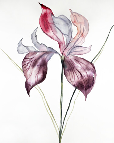 Картина под названием "Iris No. 102" - Elizabeth Becker, Подлинное произведение искусства, Акварель