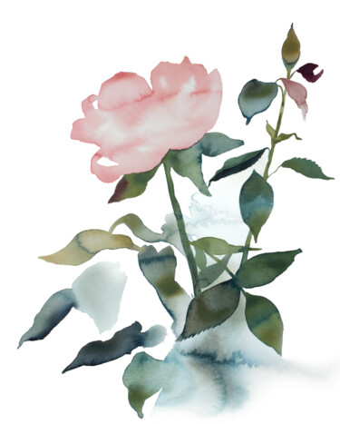 Painting titled "Rose Study No. 89" by Elizabeth Becker, Original Artwork, Watercolor