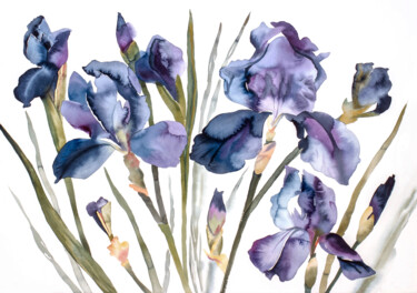 Ζωγραφική με τίτλο "Irises" από Elizabeth Becker, Αυθεντικά έργα τέχνης, Ακουαρέλα