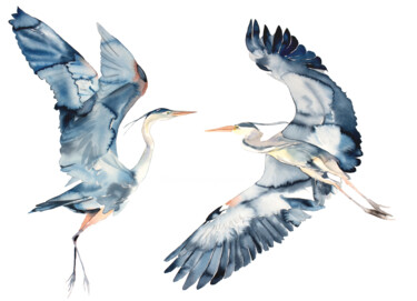 Painting titled "Herons in Flight" by Elizabeth Becker, Original Artwork, Watercolor