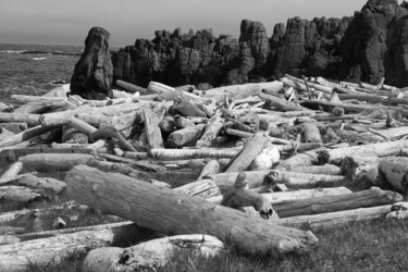 Fotografia intitulada "Driftwood in Iceland" por Elke Matthaeus, Obras de arte originais