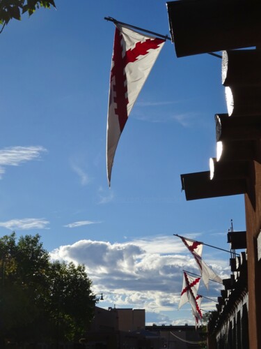 Photography titled "Flags" by Elke Matthaeus, Original Artwork