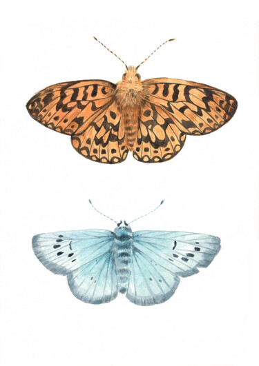 Картина под названием "Duo de papillon - p…" - Elodie Bougeois, Подлинное произведение искусства, Акварель