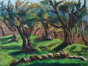 Pintura intitulada "Olive Trees in Spri…" por Elvi Ismailaga, Obras de arte originais, Óleo