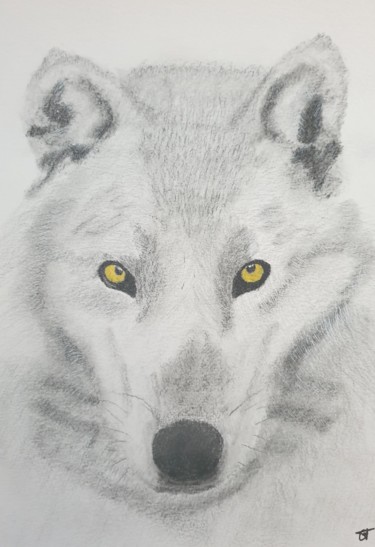 Dessin intitulée "Le Loup Blanc" par Elwan Gété, Œuvre d'art originale, Fusain