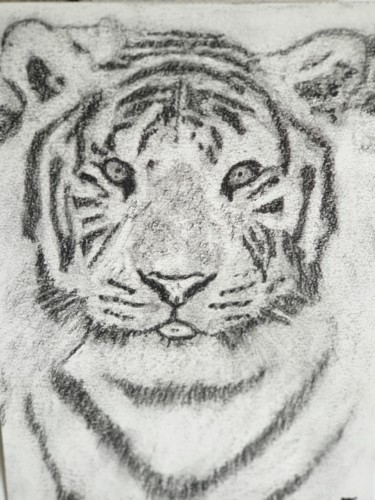 Dessin intitulée "Le Tigre Blanc" par Elwan Gété, Œuvre d'art originale, Fusain