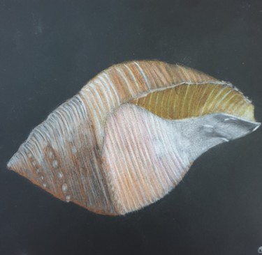 Peinture intitulée "Le Coquillage" par Elwan Gété, Œuvre d'art originale, Aquarelle