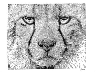 Drawing titled "Cheetah" by Elzem, Original Artwork, Ink