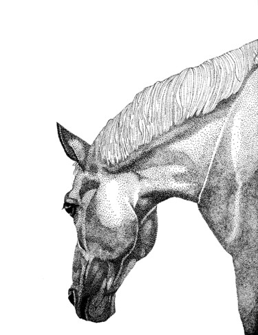 Disegno intitolato "Paard" da Elzem, Opera d'arte originale, Inchiostro