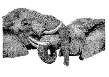 Drawing titled "elephant" by Elzem, Original Artwork, Ink