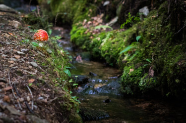 Photographie intitulée "Miniature" par Emilie Reydon, Œuvre d'art originale