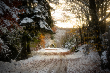 Photographie intitulée "Couleurs d'hiver 3" par Emilie Reydon, Œuvre d'art originale, Photographie numérique