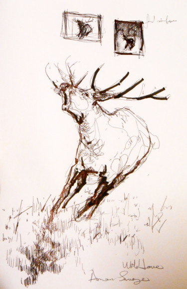Drawing titled "Etude de cerf "bram…" by Lorenz, Original Artwork, Pencil