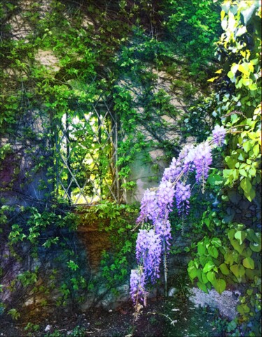 Fotografia zatytułowany „Les fleurs de glyci…” autorstwa Emma Laflute, Oryginalna praca, Fotografia cyfrowa