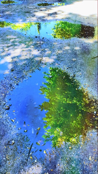 Photography titled "Réflexion d'arbres…" by Emma Laflute, Original Artwork, Digital Photography