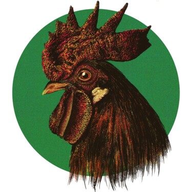 Arts numériques intitulée "Rooster" par Empty St, Œuvre d'art originale, Peinture numérique