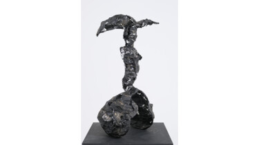 Skulptur mit dem Titel "Rise of Success" von Emre Aksu, Original-Kunstwerk, Draht