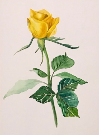 Painting titled "Жёлтая роза." by Larissa Lukaneva, Original Artwork, Watercolor