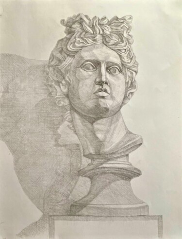 Disegno intitolato "Голова Аполлона" da Larissa Lukaneva, Opera d'arte originale, Matita