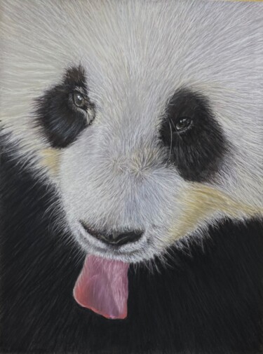 Peinture intitulée "Le regard du Panda" par Eric Delesalle, Œuvre d'art originale, Pastel
