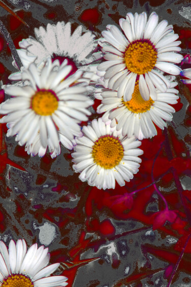 Photographie intitulée "Metallised daisies" par Eric Régimbeau, Œuvre d'art originale, Photographie numérique