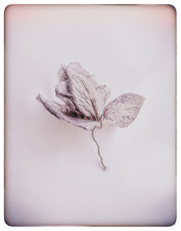 摄影 标题为“Eden | 12” 由Eric Scibor-Rylski, 原创艺术品, 数码摄影
