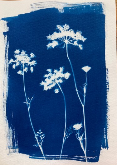 「cyanotype fleurs d'…」というタイトルの写真撮影 Erick Philippe (eikioo)によって, オリジナルのアートワーク, 操作されていない写真