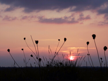 Fotografie mit dem Titel "sunset (4)" von Erick Philippe (eikioo), Original-Kunstwerk, Digitale Fotografie