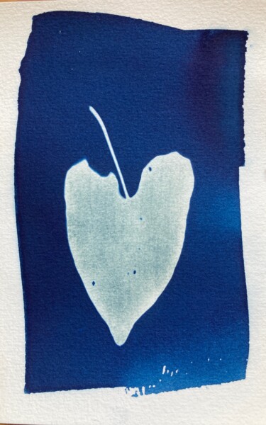 Фотография под названием "cyanotype feuille d…" - Erick Philippe (eikioo), Подлинное произведение искусства, Не манипулируем…