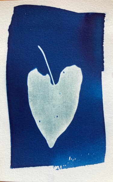 Photography titled "cyanotype feuille d…" by Erick Philippe (eikioo), Original Artwork, Non Manipulated Photography