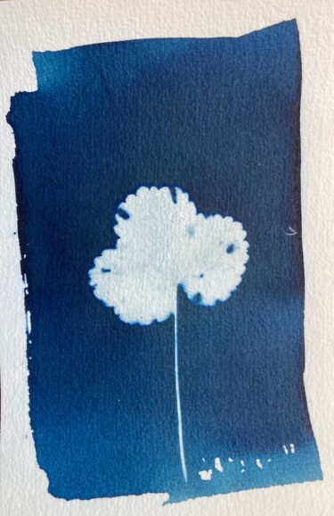 Photography titled "cyanotype feuille" by Erick Philippe (eikioo), Original Artwork, Non Manipulated Photography