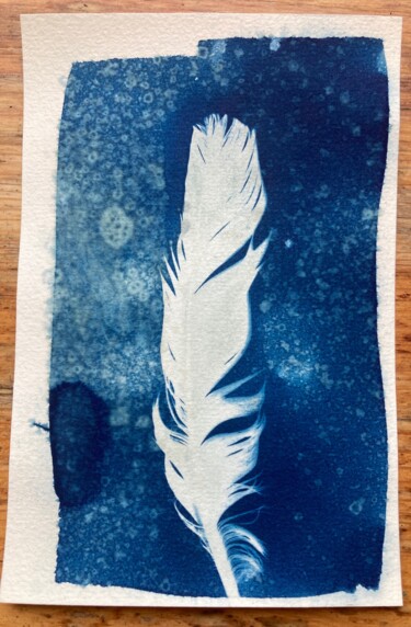 Photography titled "cyanotype plume" by Erick Philippe (eikioo), Original Artwork, Non Manipulated Photography