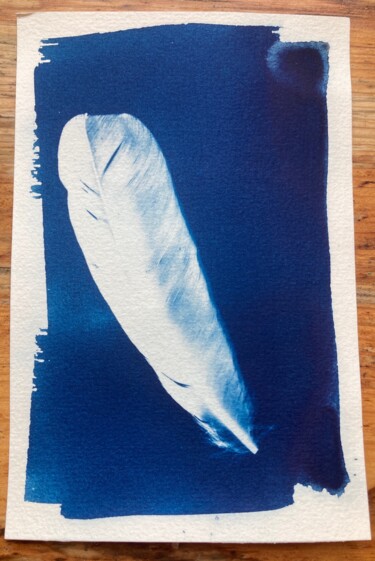 Photography titled "cyanotype d'une plu…" by Erick Philippe (eikioo), Original Artwork, Non Manipulated Photography