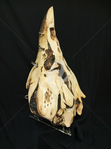 Skulptur mit dem Titel "Vimanas" von Eric Rodriguez Sculpture, Original-Kunstwerk, Holz