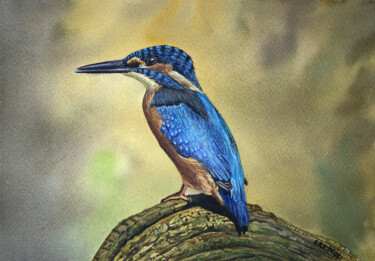 Peinture intitulée "Kingfisher." par Erkin Yılmaz, Œuvre d'art originale, Aquarelle